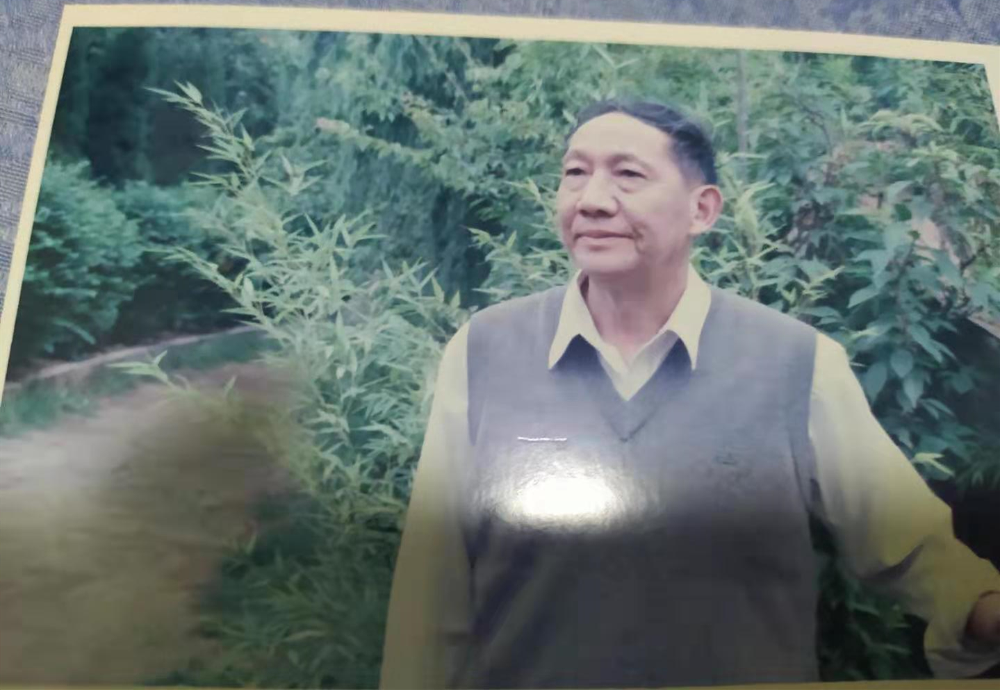 杨宗兴.jpg